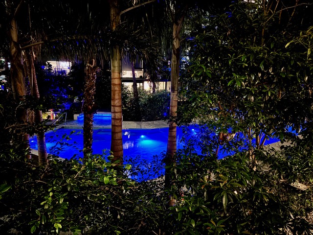 Pool night